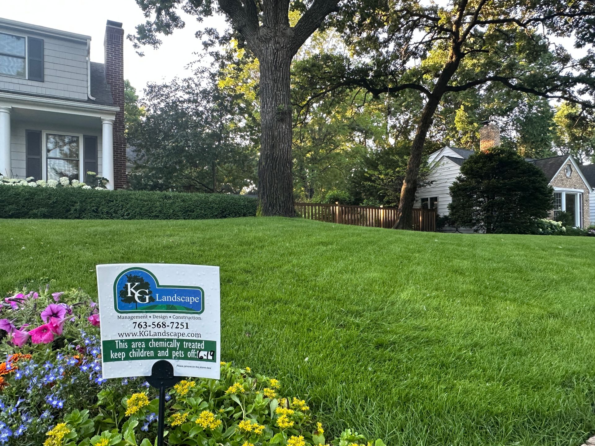 Perfect thick green lawn in St. Louis Park MN with colorful flowers next to a KG Landscape fertilizer lawn sign 