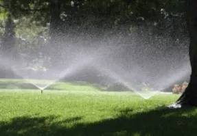 Sprinklers watering a green lawn under a tree, creating a mist in the sunlight.