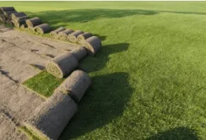 Rolls of sod next to a grassy lawn; preparation for lawn installation.