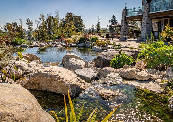 A small pond and waterfall feature surrounded by rocks, plants, and a small patio area.
