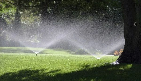 Sprinklers watering a lush green lawn in MN with sunlight shining through