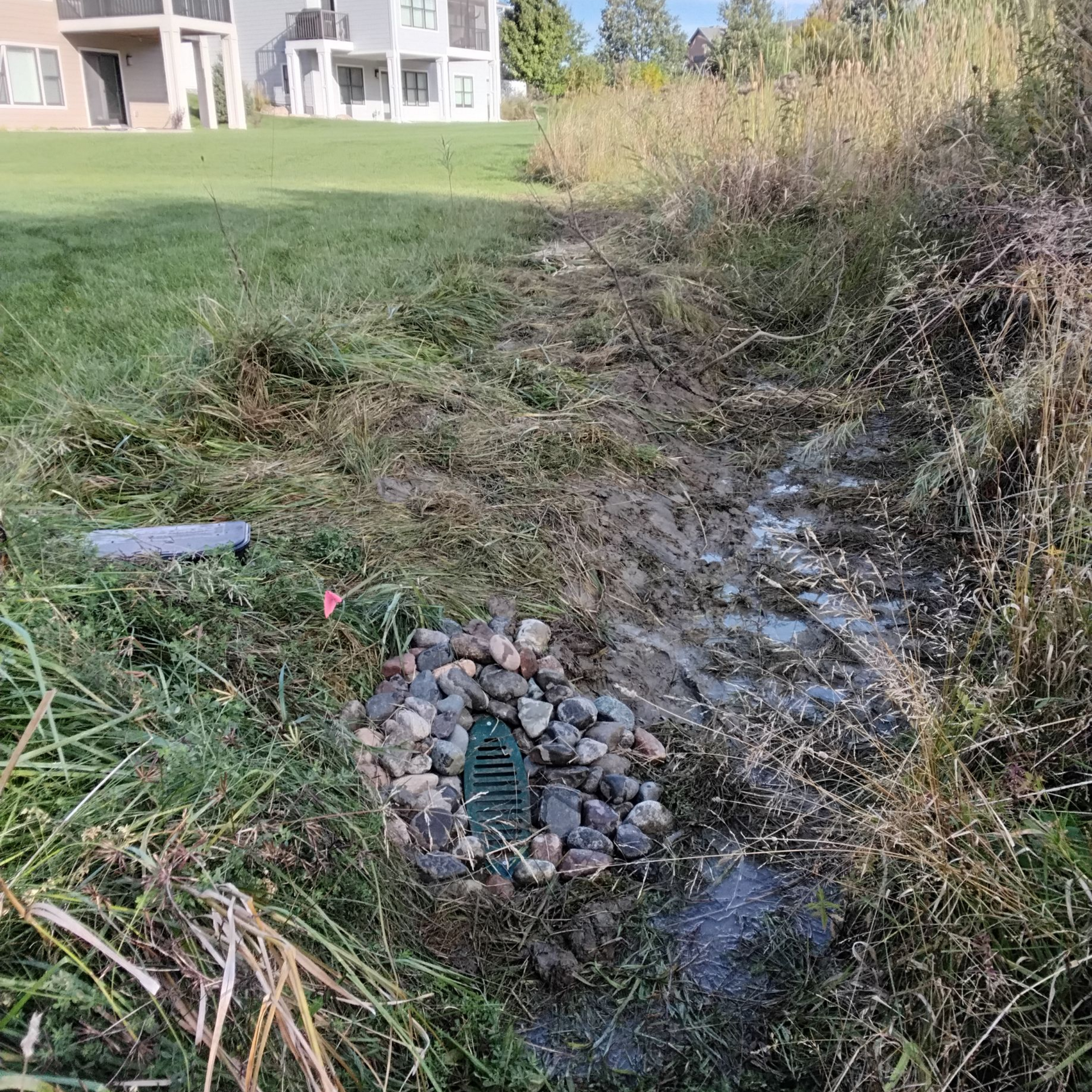 Daylight outlet of a French drain in North Oaks emptying into a low point in a naturalized area