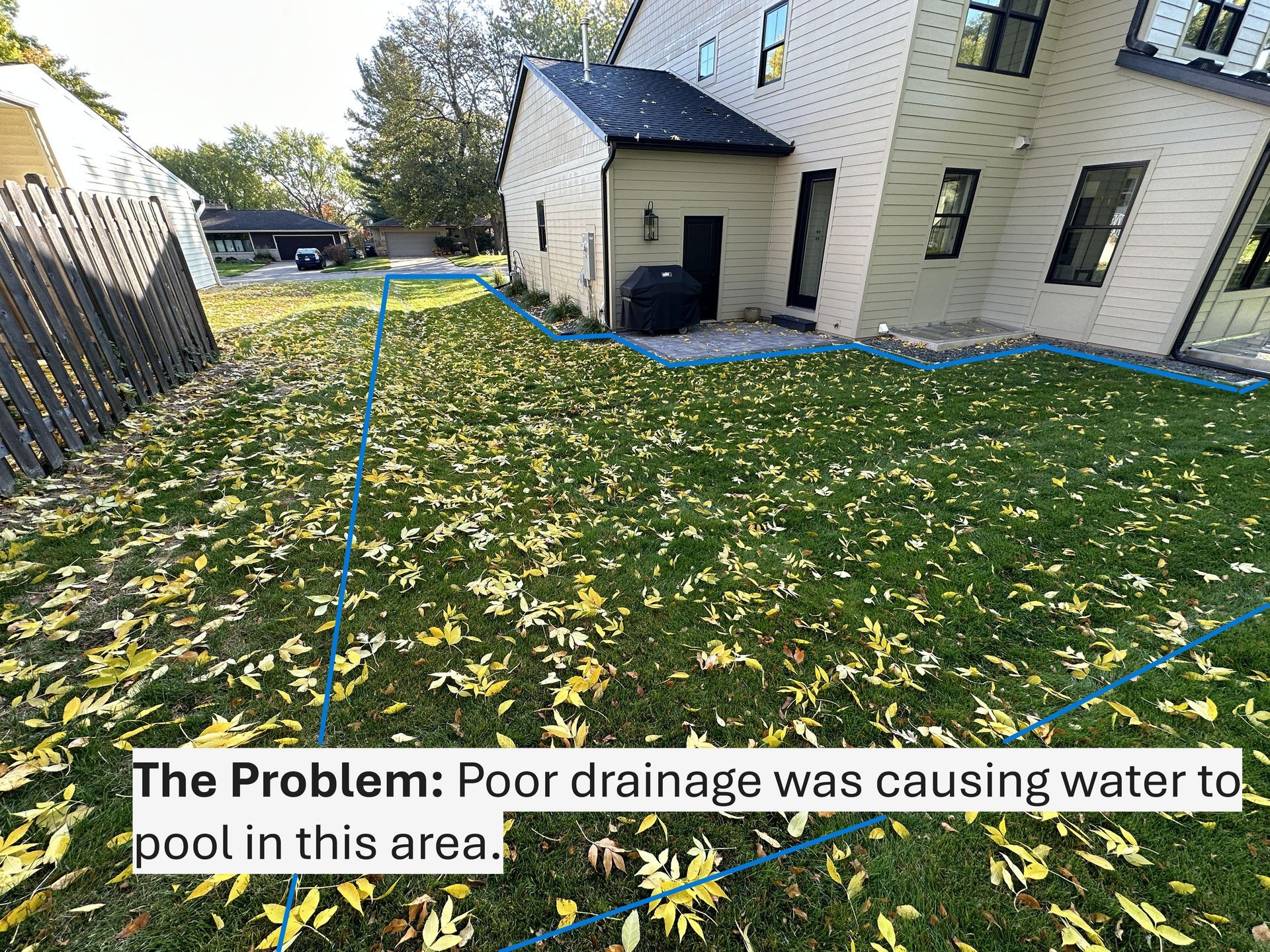 Backyard with poor drainage; water pooling in grass; yellow leaves scattered.