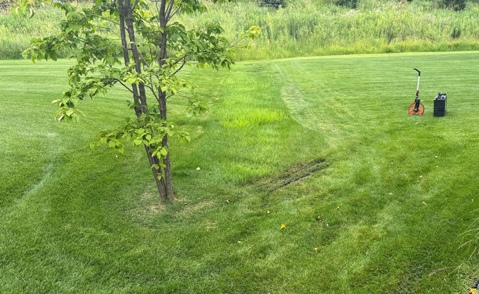 Before+pic+very+wet+sideyard+drainage+problem+in+property+line+swale+area+in+backyard+in+North+Oaks