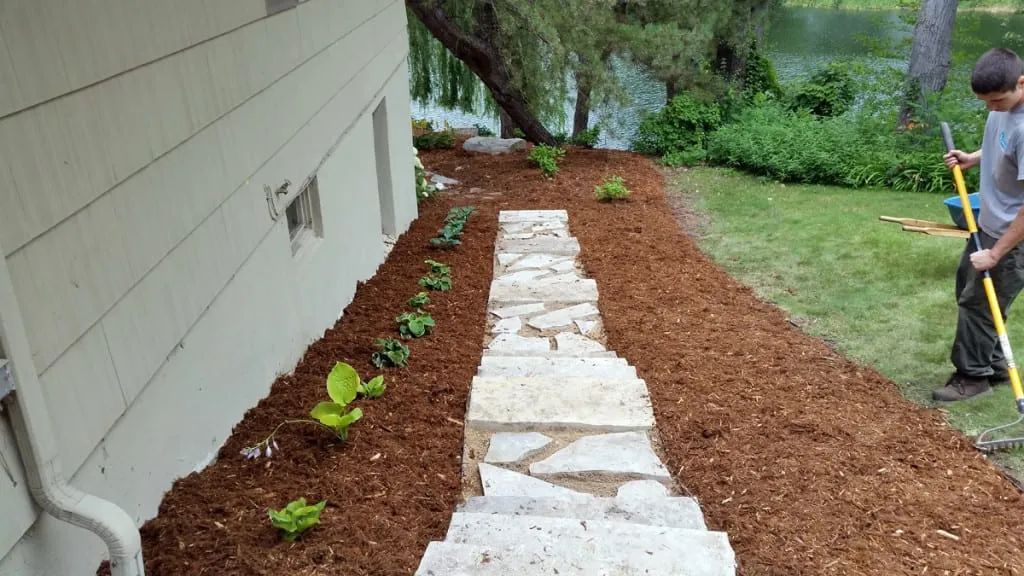 Stone path with new plants and mulch, beside a house, and a person raking.
