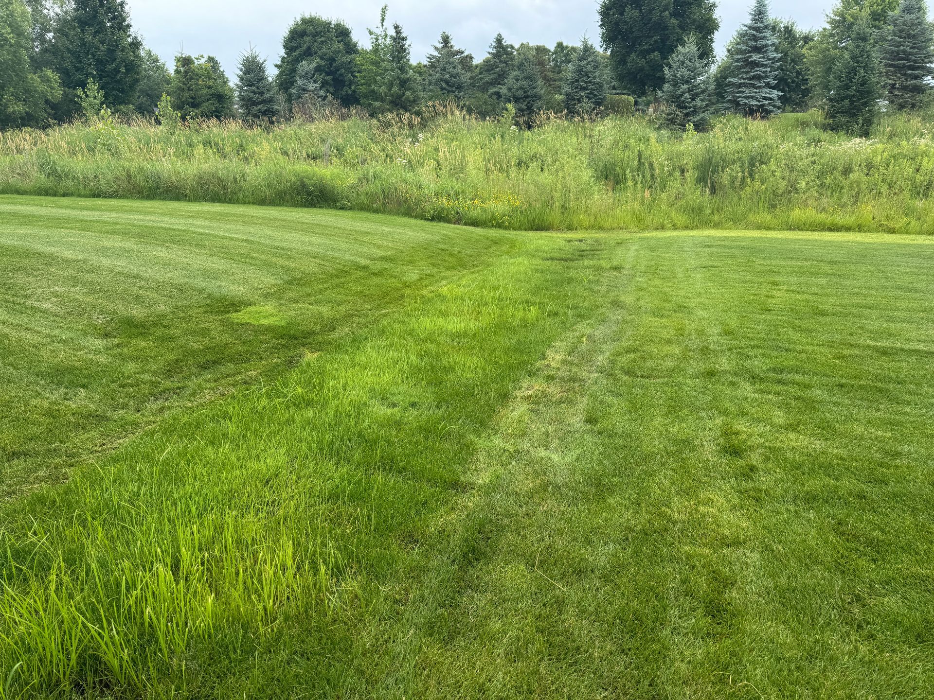 Lawn are too wet and soggy to mow