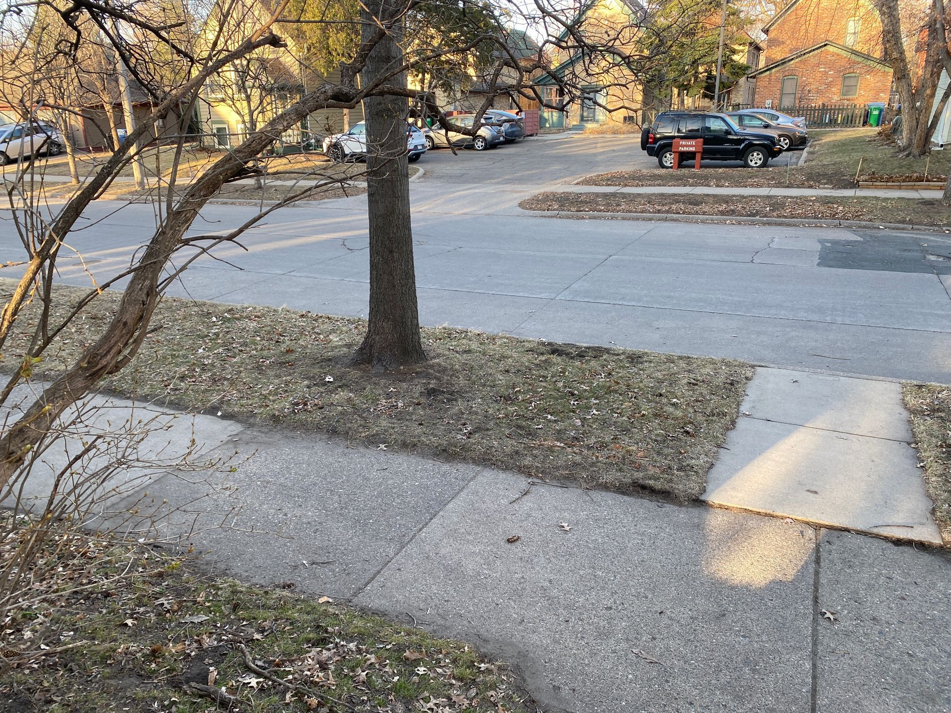 A view of a depleted lawn facing the street.