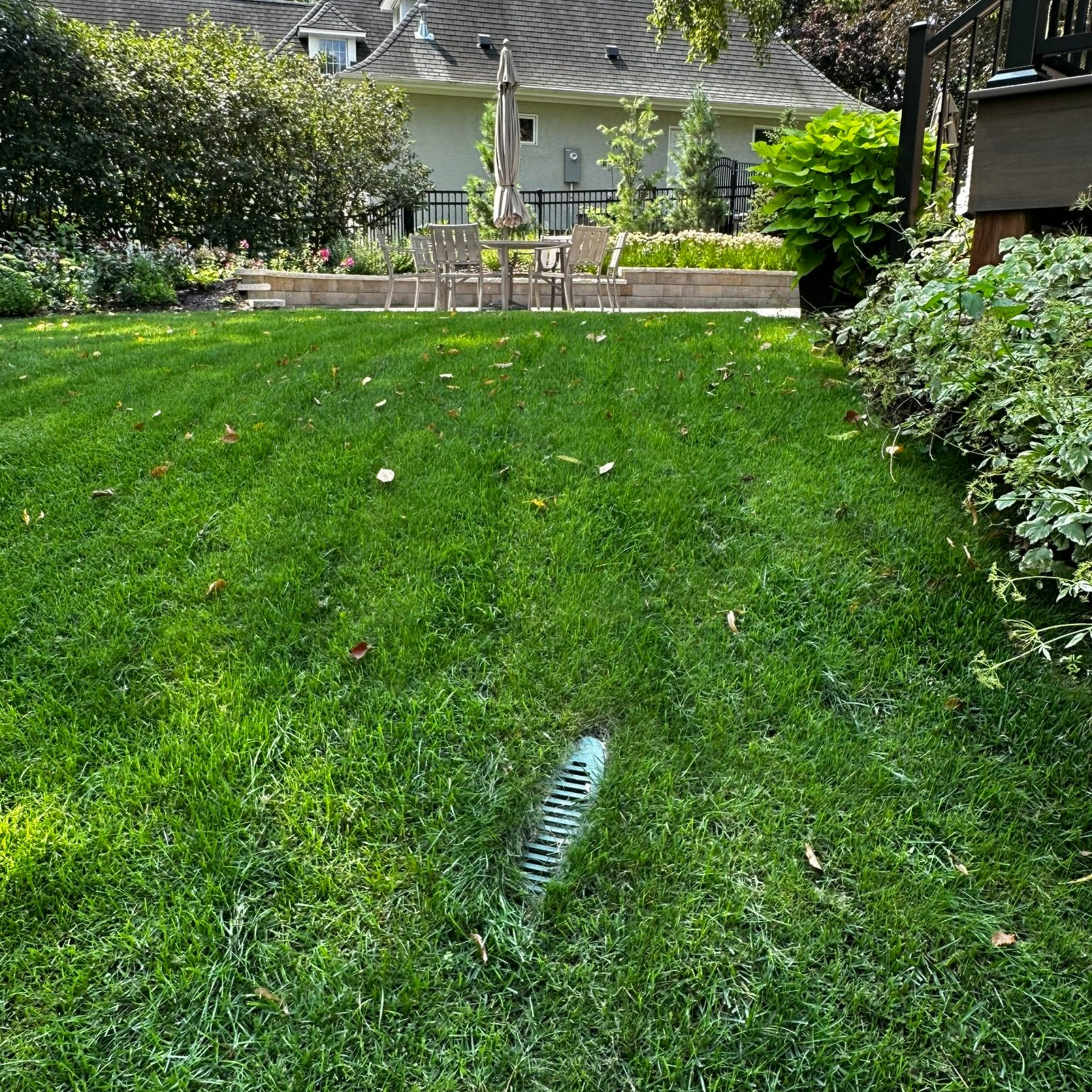 A metal drainage grate sits in a lush green backyard, with a house and patio visible in the background.