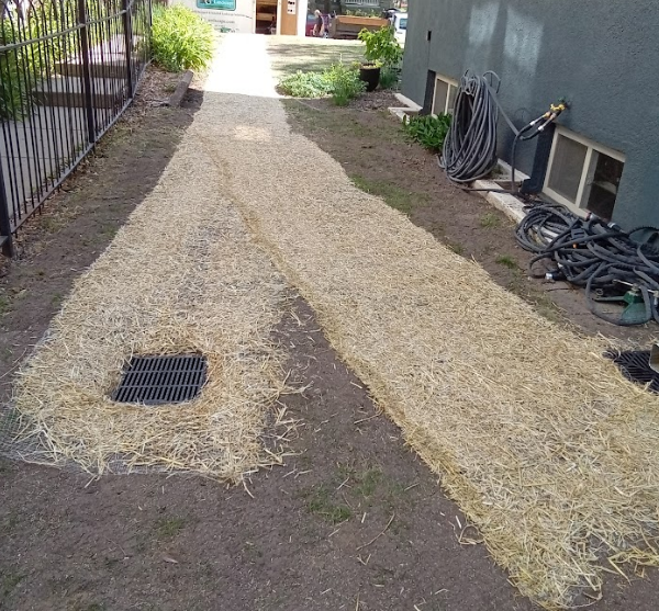 A mulch path runs along the side of a grey house, leading past a black drainage grate to a backyard.