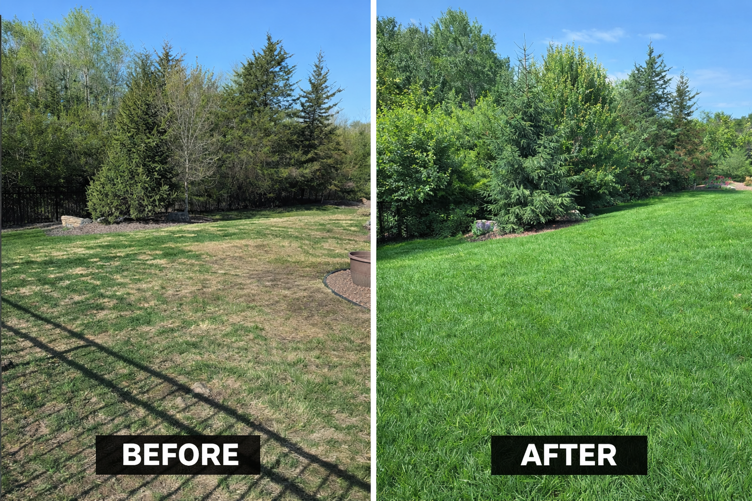 A side-by-side comparison of a yard, showing brown, dry grass on the left and vibrant green, healthy grass on the right.