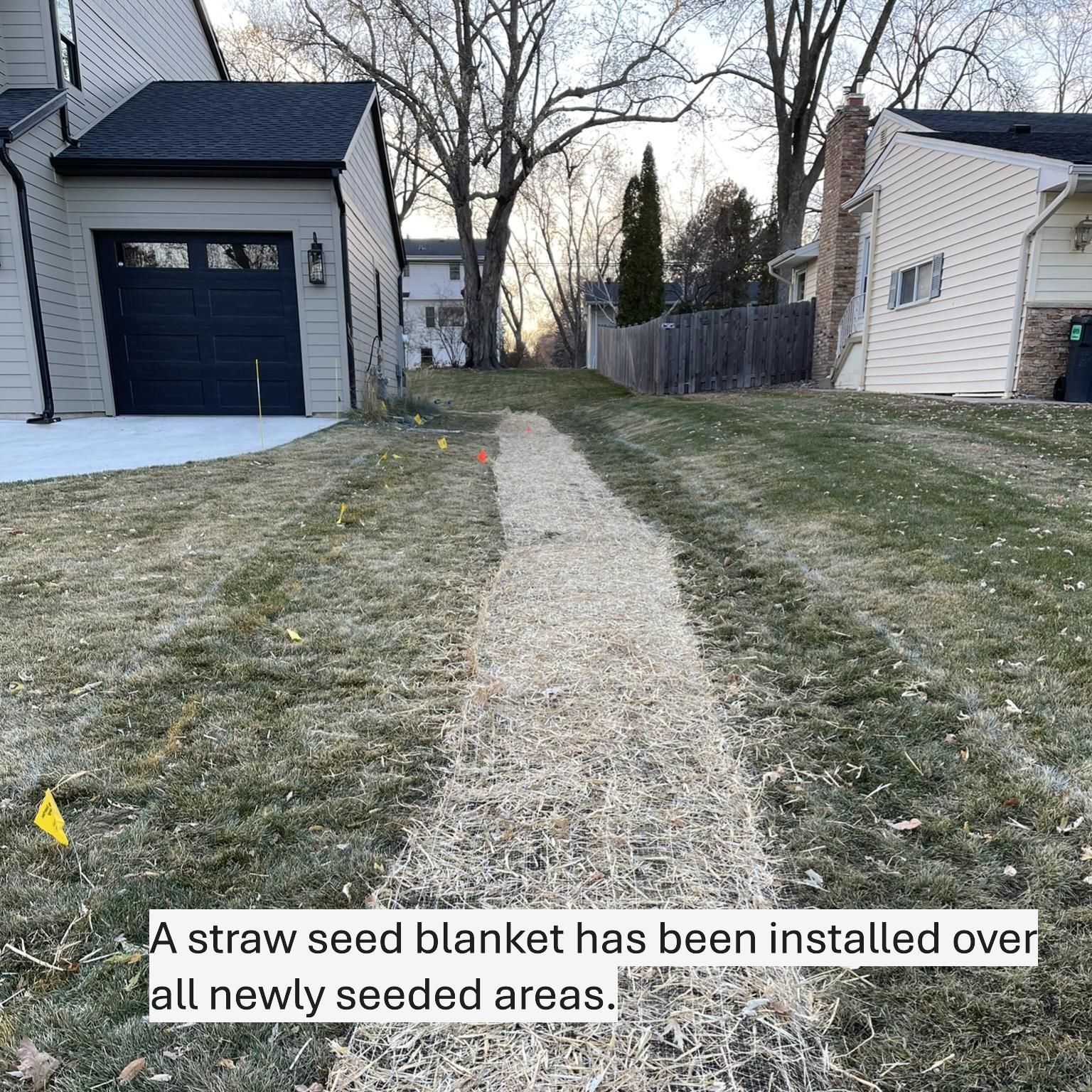 Edina+MN+KG+Landscape+seed+blanket+over+newly+seeded+areas+drain+tile+lawn+repair