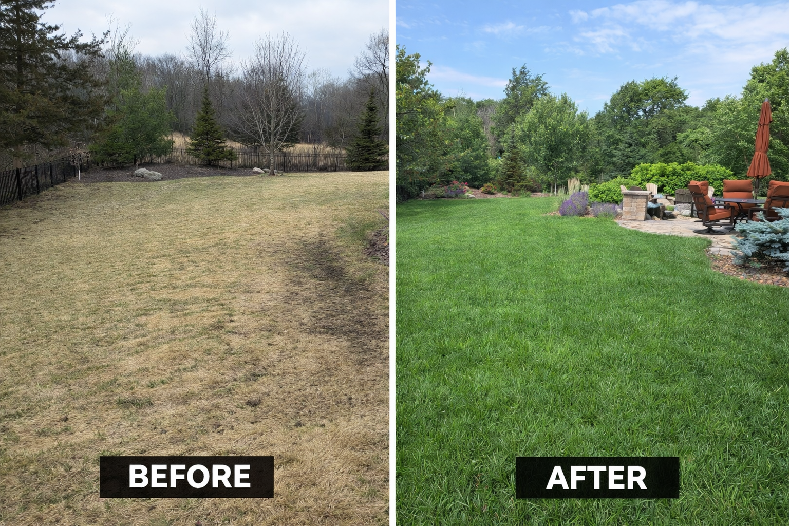Side-by-side comparison of a yard, showing brown, dormant grass on the left and lush, green grass on the right.