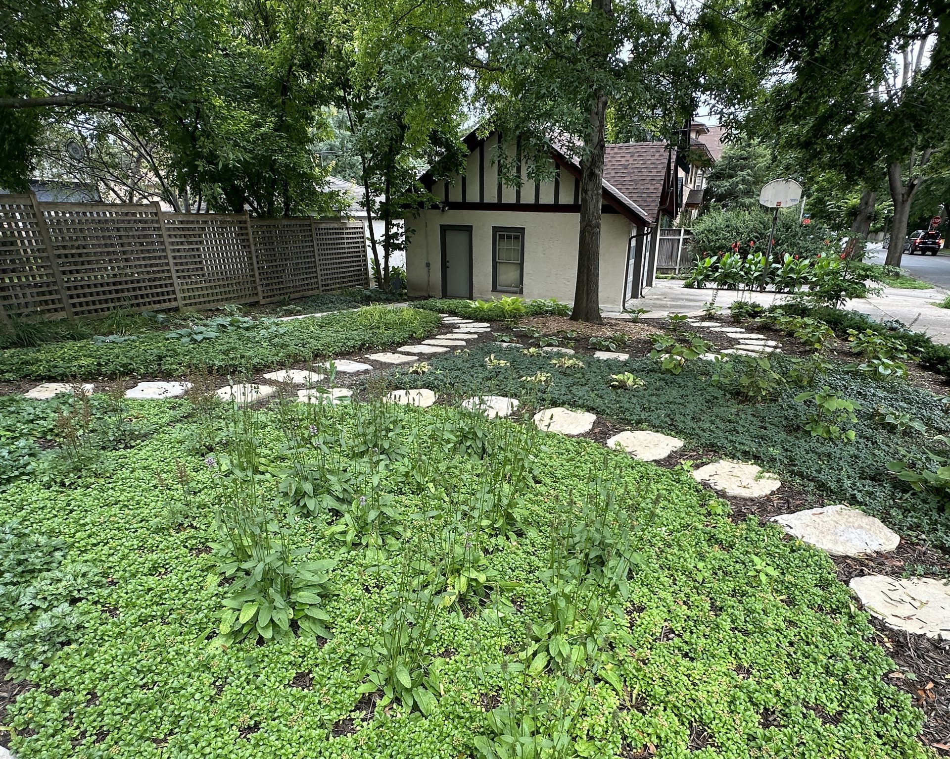 Backyard+ground+cover+landscaping+low+maintenace+alternative+lawn+Minneapolis+MN+KG+Landscape