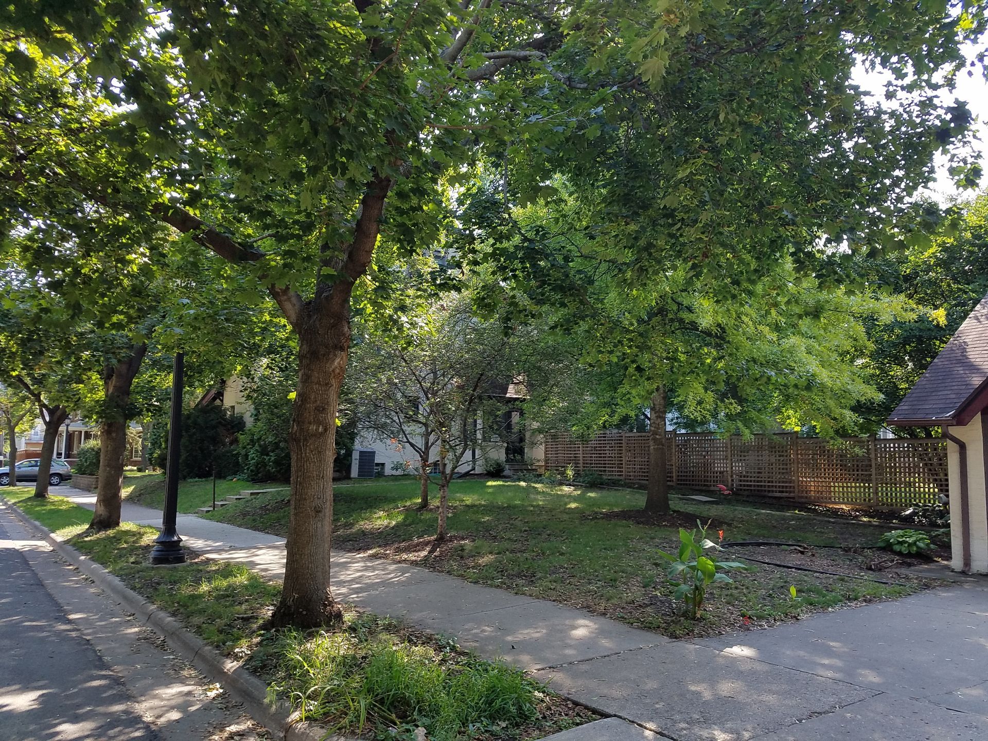 Before photo of thin shaded lawn mostly dirt in Minneapolis backyard near Lake of the Isles