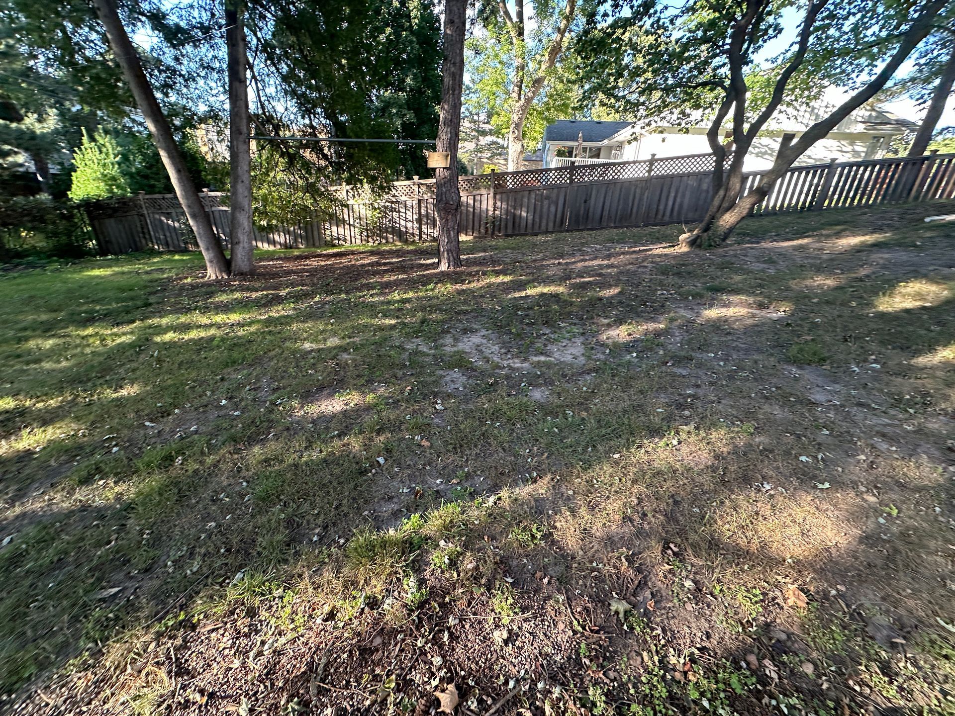 Before: bump thin lawn with bare spots