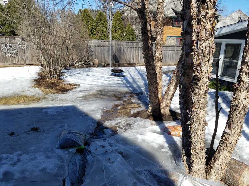 Backyard scene with melting snow and puddling water, poor drainage, ice forming in yard  trees, and wooden fence. Sunny day.
