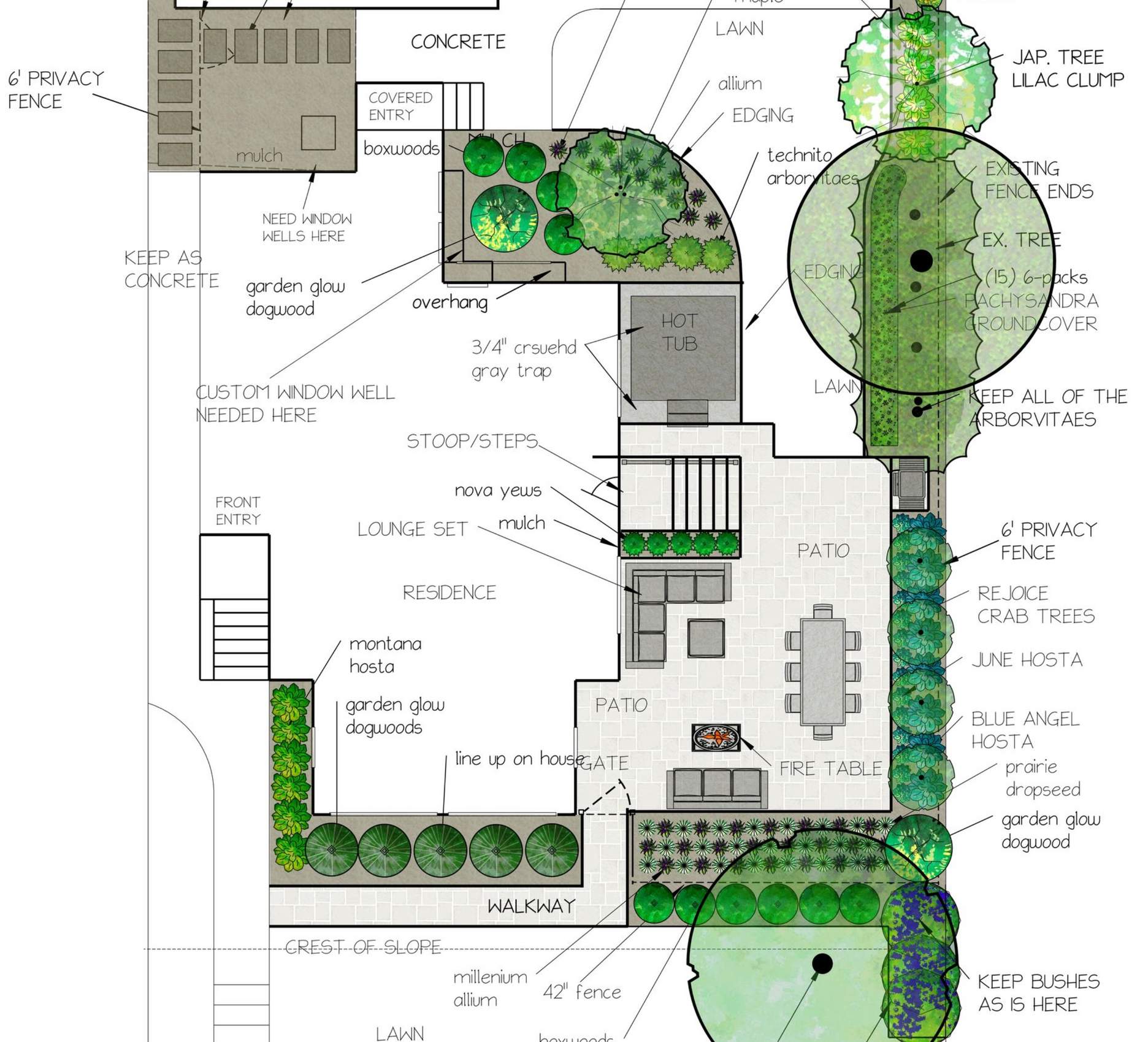 Concept design 10: patio, steps, bed lines, hot tub placement, plantings, walkway, pergola, and fencing