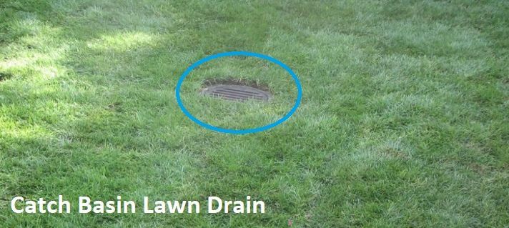 A picture of a catch basin lawn drain in a lush green lawn.