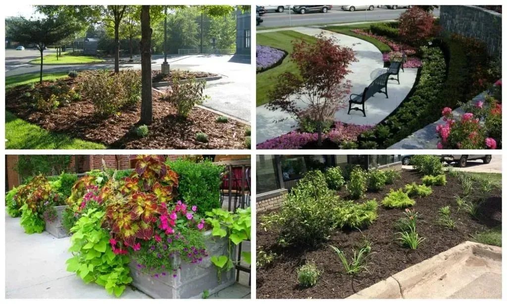 Four images of landscaped areas with various plants and trees.