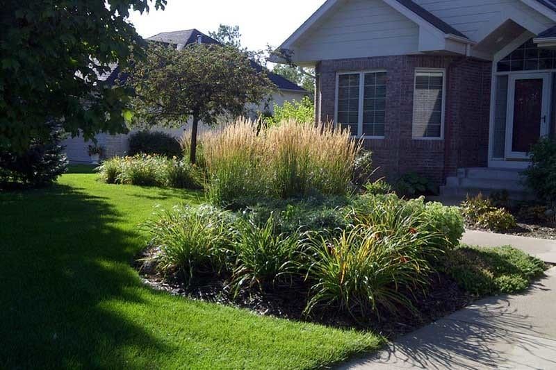 Front yard landscaping with layered plants, grasses, and flowering trees in Blaine MN
