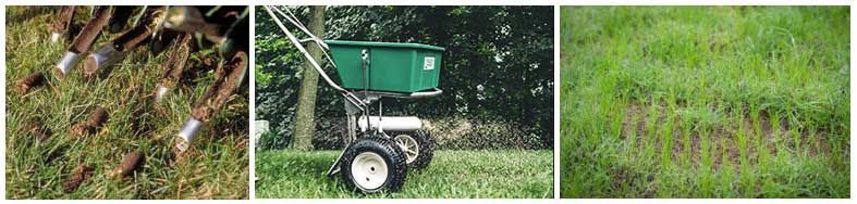 Lawn care: aerating with spikes, a spreader, and new growth.
