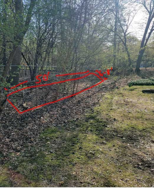 A patch of dry leaves and small bushes in a wooded area; outlined in red.