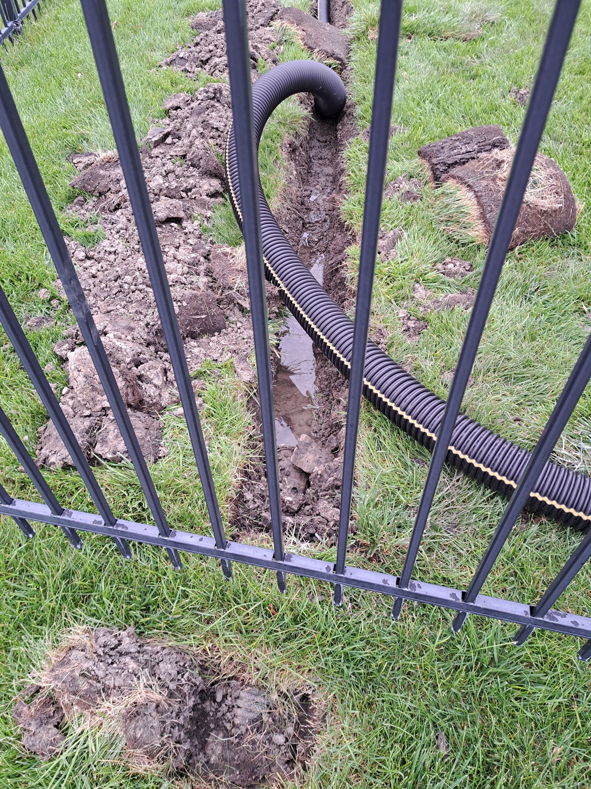 A black corrugated drainage pipe lies in a muddy, excavated trench cut through a grassy lawn behind a metal fence.