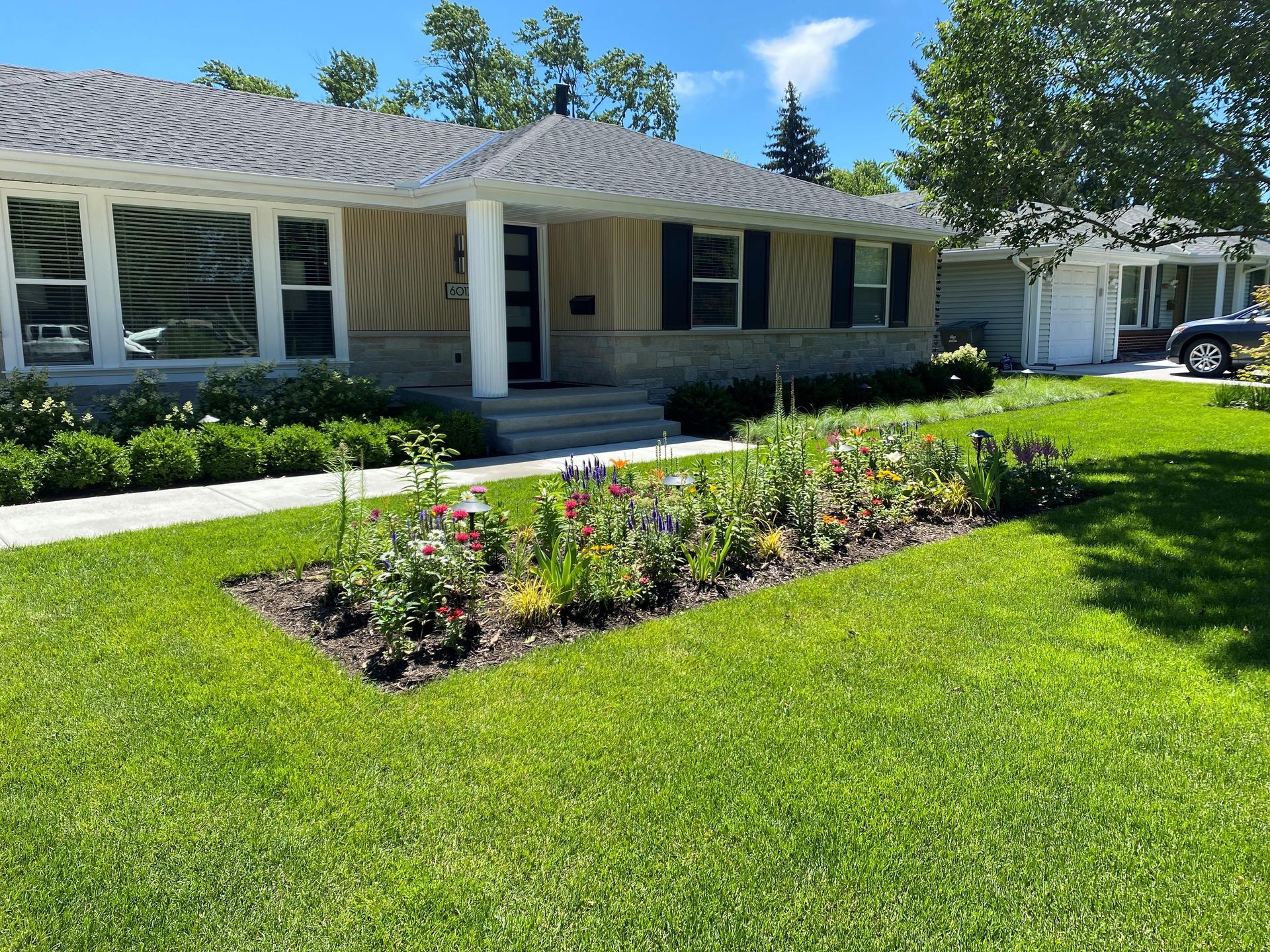 House with flower bed and green lawn. Beige house, dark shutters, grey roof. Bright day.