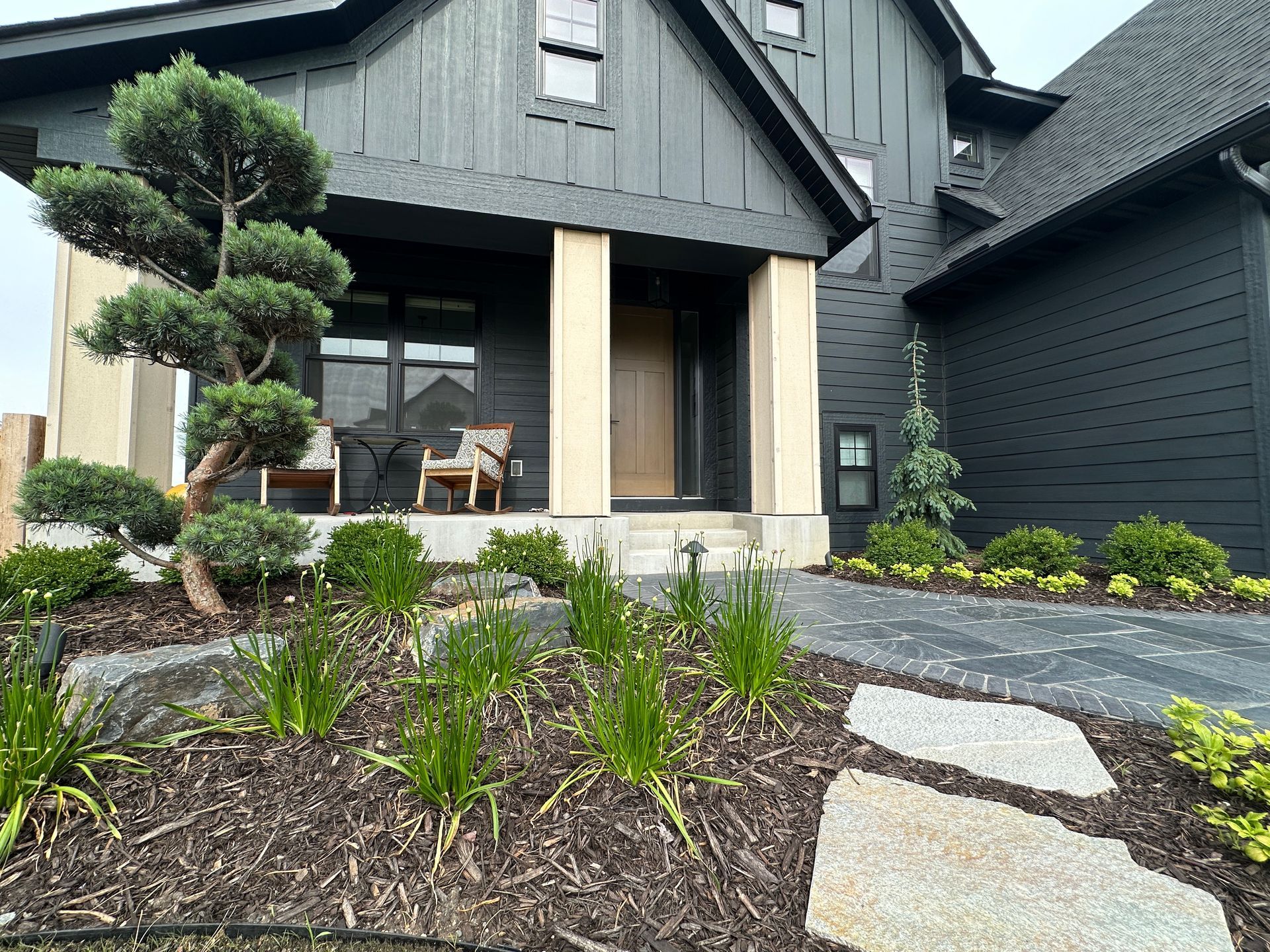 modern suburban home with front yard plants