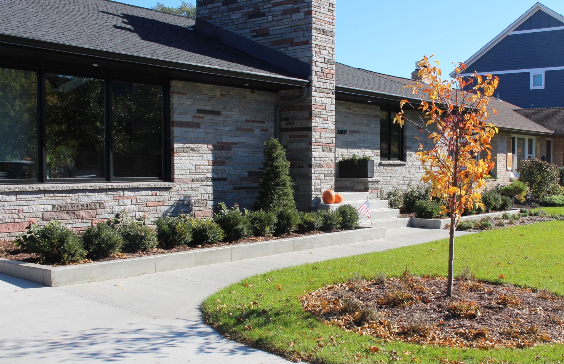 mid century home in golden valley MN with new landscaping, boxwoods, cement walls and pathway, green lawn and crab tree  