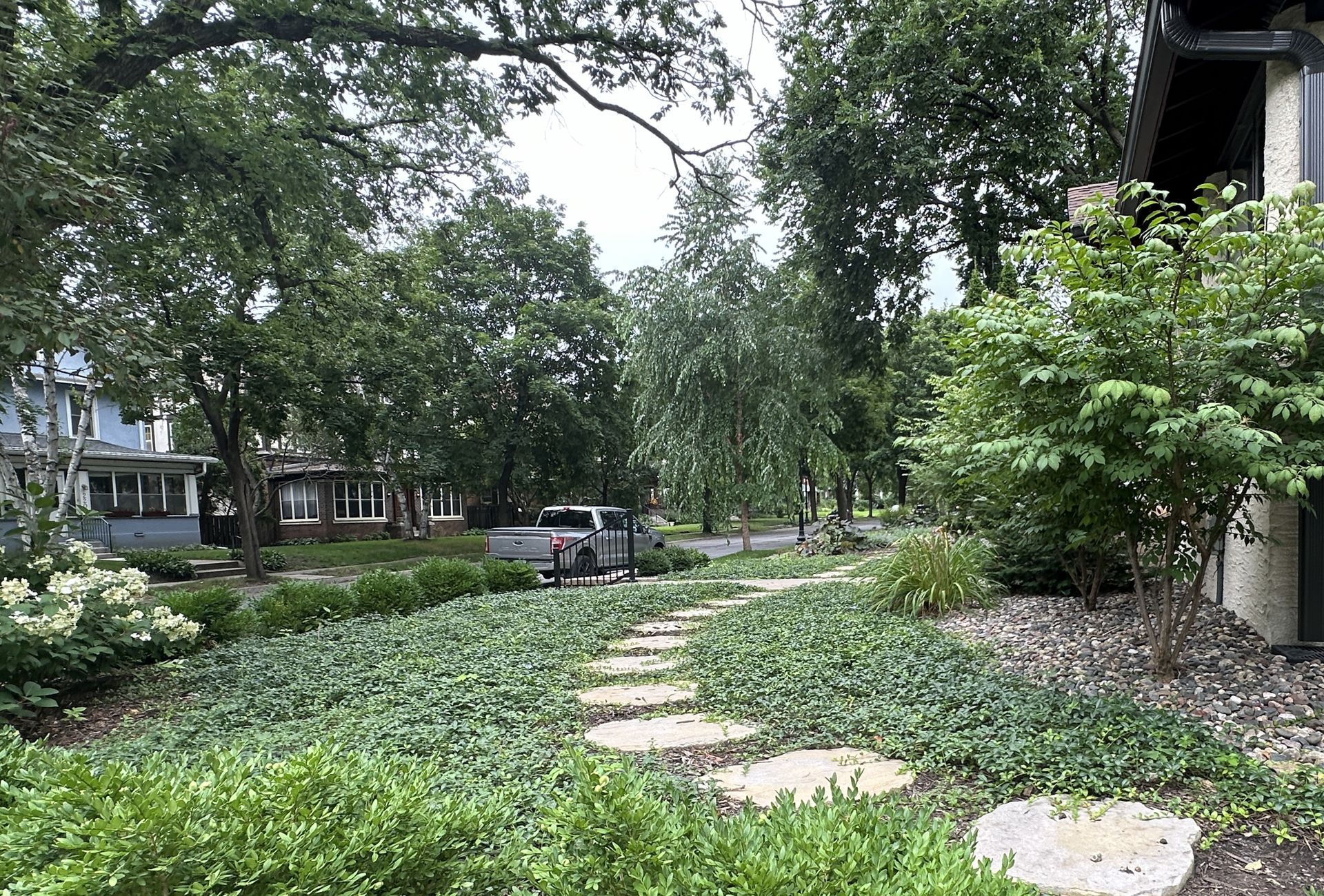 Front yard ground cover landscaping replacing grass lawn with low maintenance plantings in Minneapolis