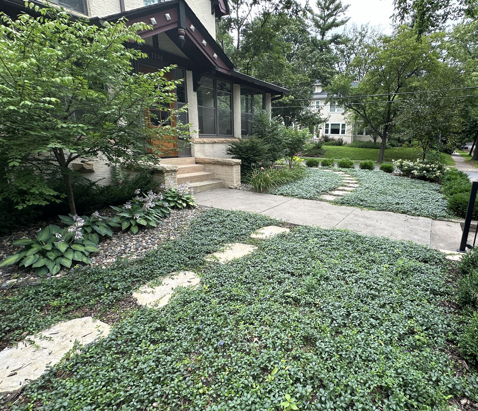 Front yard planted with vinca ground cover and a stepping-stone path replacing lawn, Lake of the Isles, Minneapolis