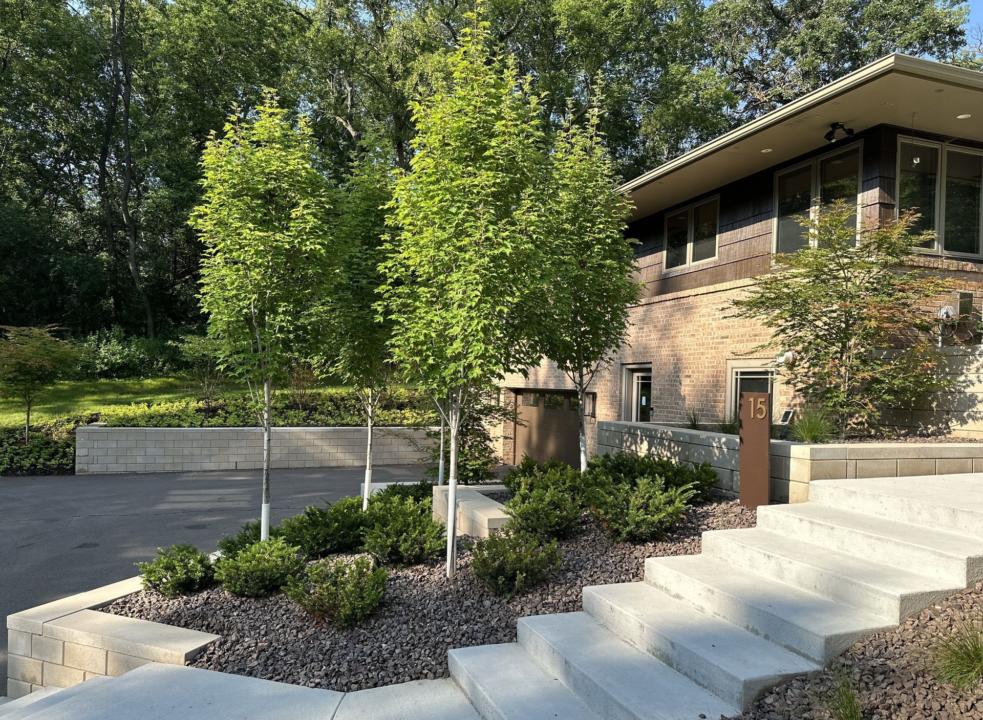 Mid-century modern hillside front yard in Hopkins MN with custom steps, retaining wall, and plantings