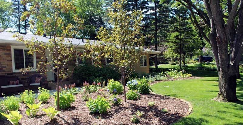 Colorful front entry landscaping on a St. Louis Park rambler with crab trees, perennials, mulch, and stone edging