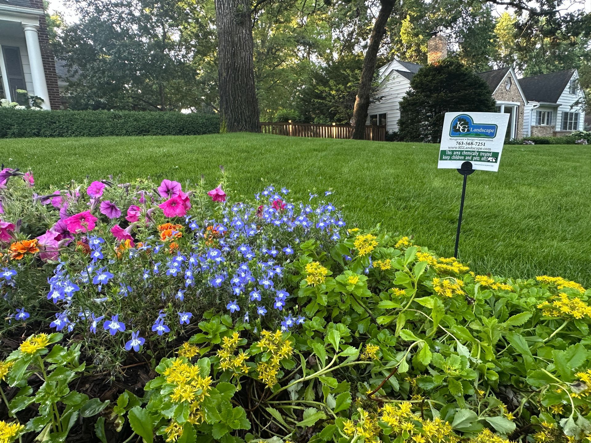 Colorful flower bed in front of green lawn with houses in background. A sign stands in the lawn.