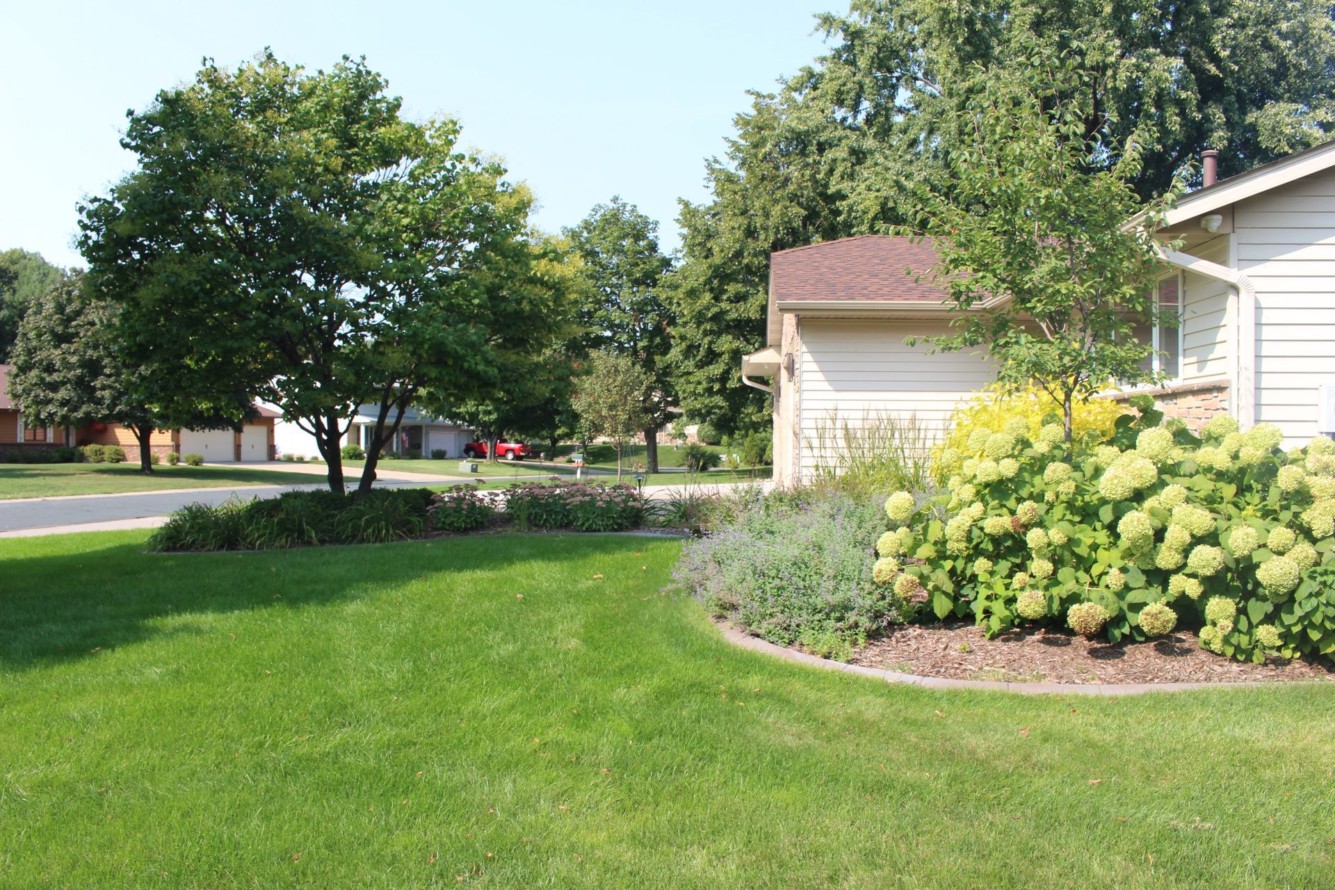 Front yard landscaping in North Oaks MN with lilac tree, Garden Glow dogwoods, grasses, and hydrangeas