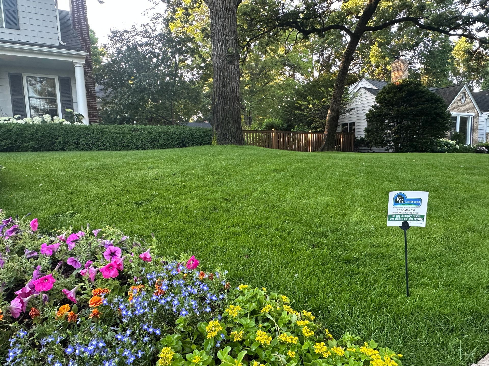 Nice thick green fertilized lawn
