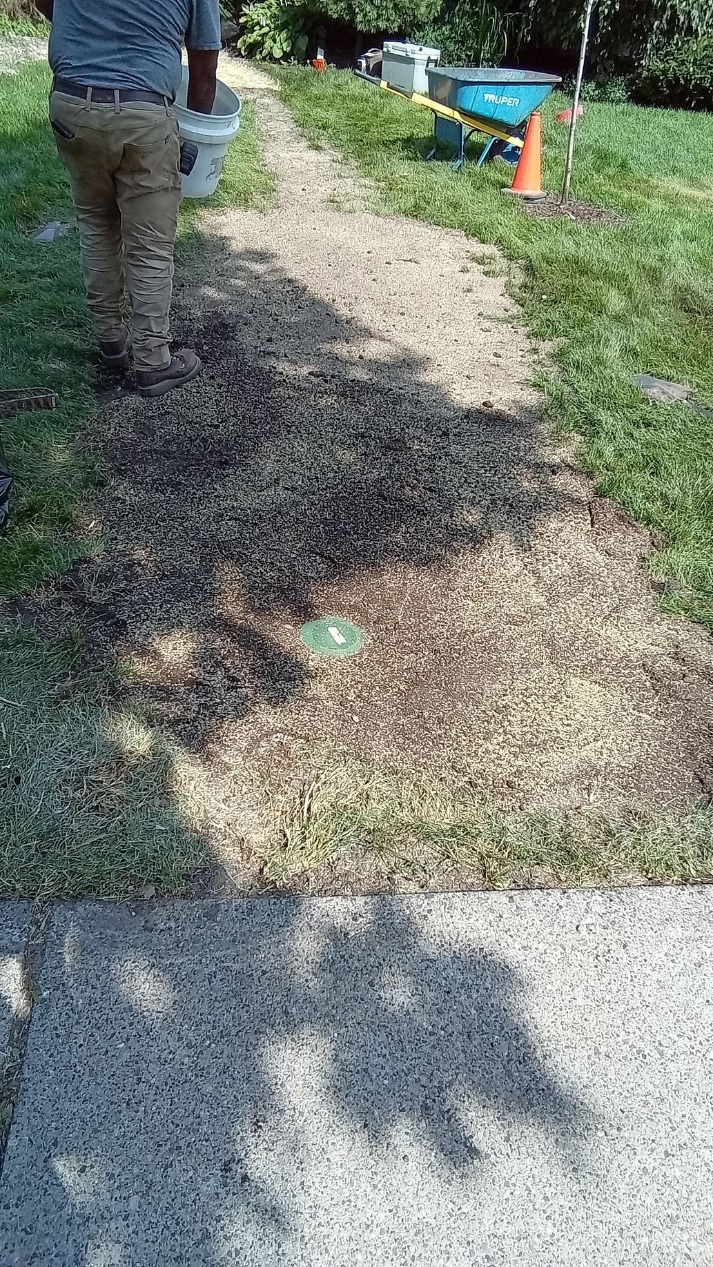 Our crew smoothing soil and raking in grass seed after a dry well installation project