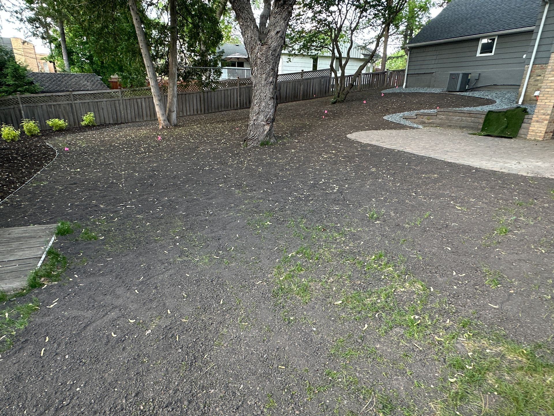 A residential backyard with bare soil, a large tree, a stone patio area, and a dark grey house in the background.