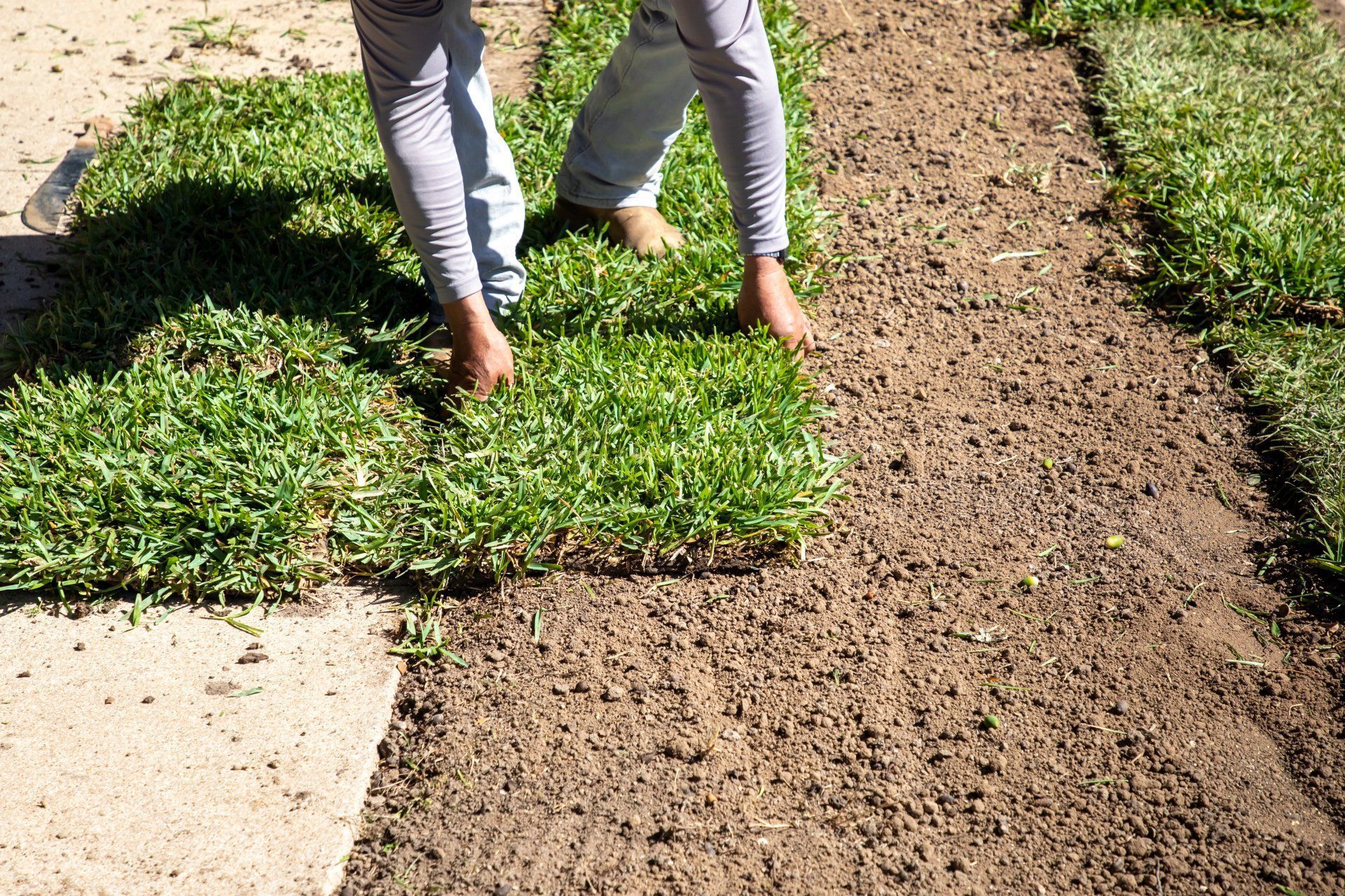 A person is placing square patches of green sod onto bare soil in a yard.