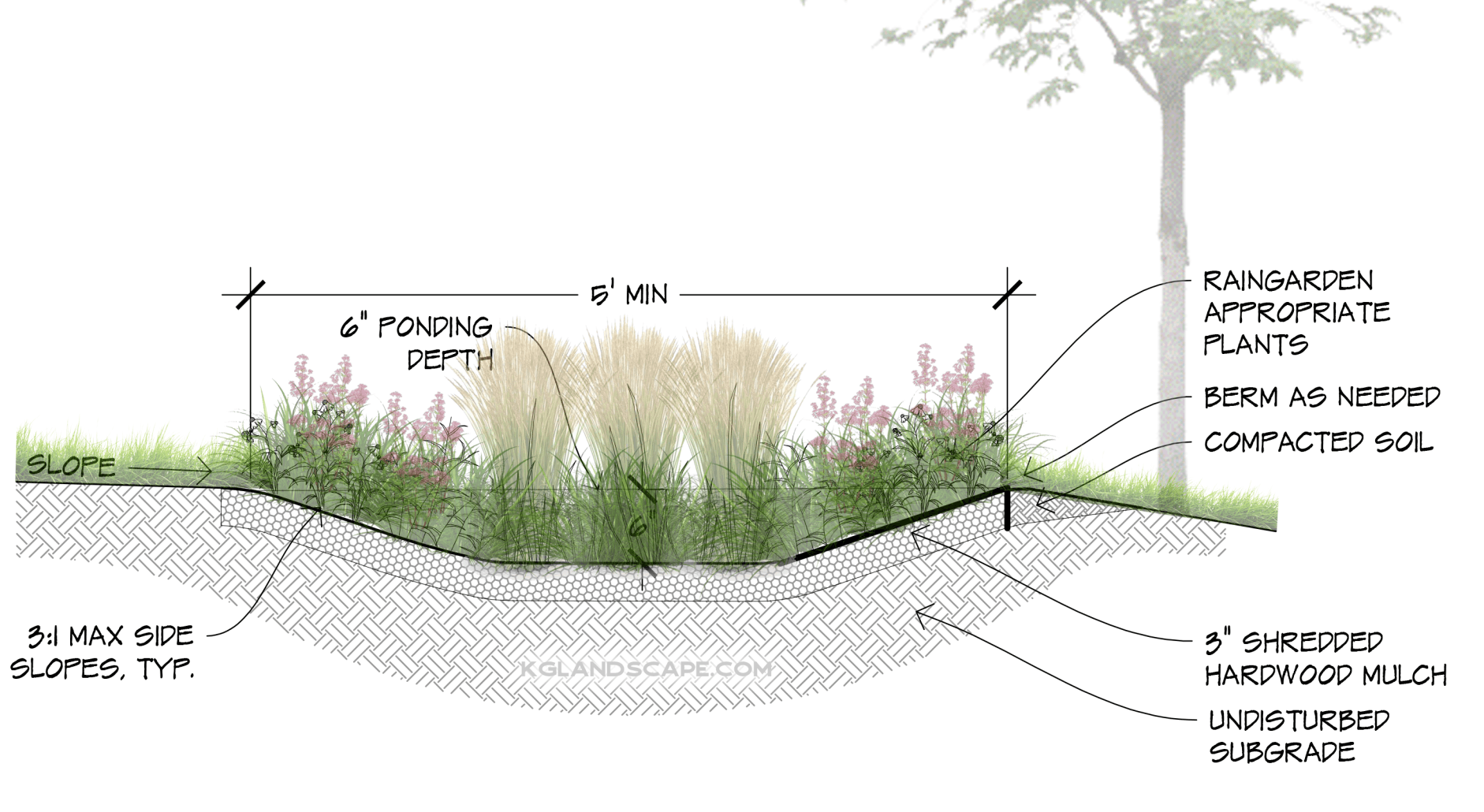 a rain garden diagram created by KG Landscape showing a section view 
