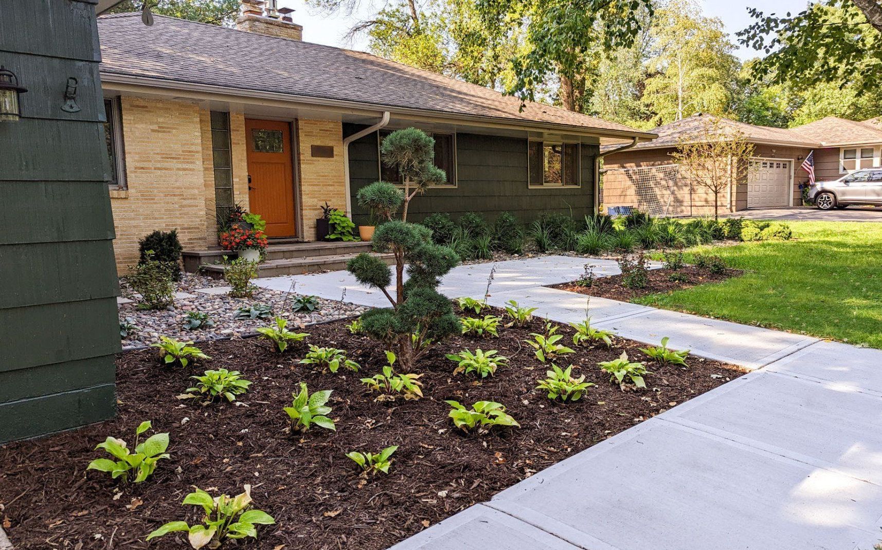 Landscaped front yard with a house featuring a walkway, mulch beds, and manicured greenery.