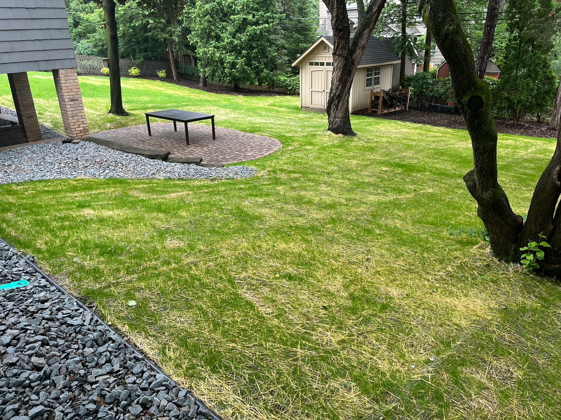 10 days after lawn was seeded by KG Landscape in Edina MN and covered with straw seed blankets shows grass emerging through seed matting