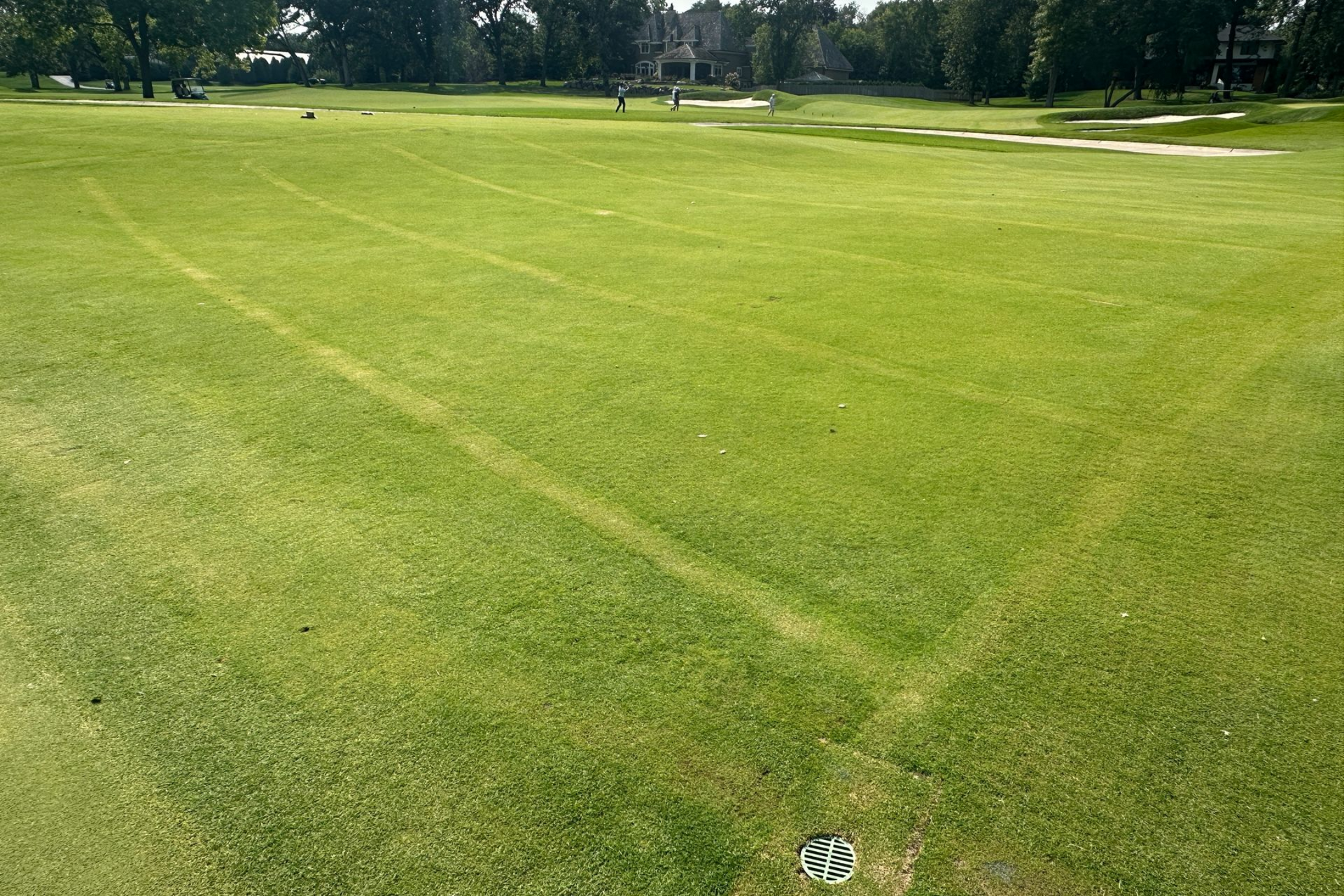 Example of drain tile installed around a green at Interlachen golf course in Edina MN