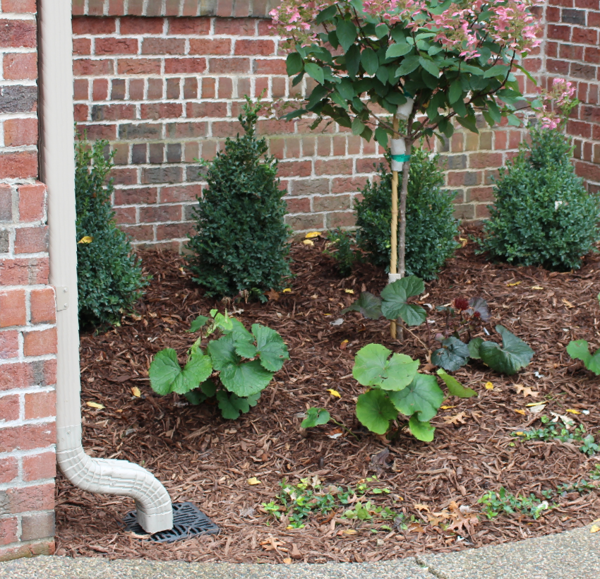 Downspout drainage system with catch basin below downspout that runs under the front sidewalk in Minneapolis MN