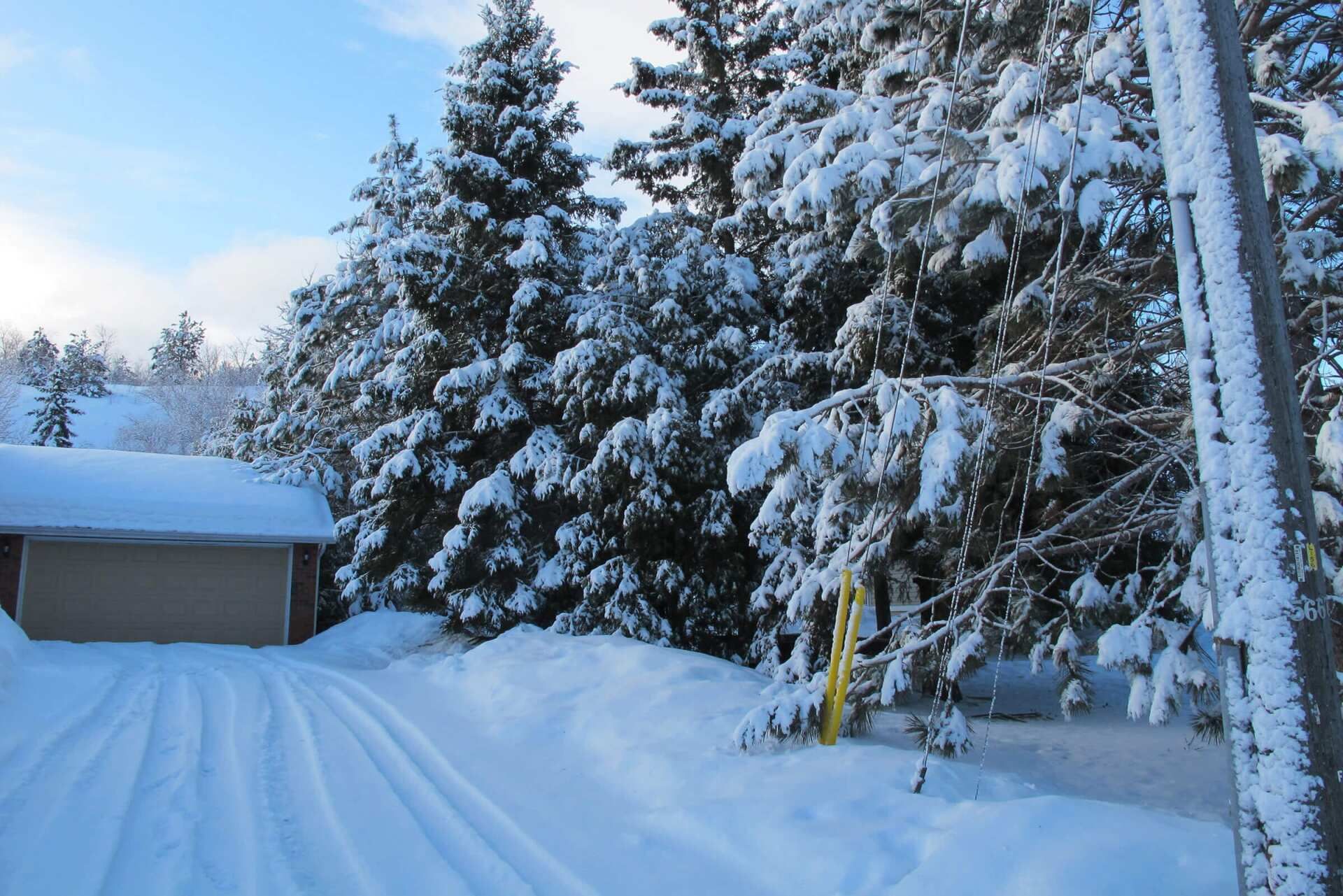 Snow-covered driveway leads to a garage, flanked by snow-laden evergreen trees under a blue sky.