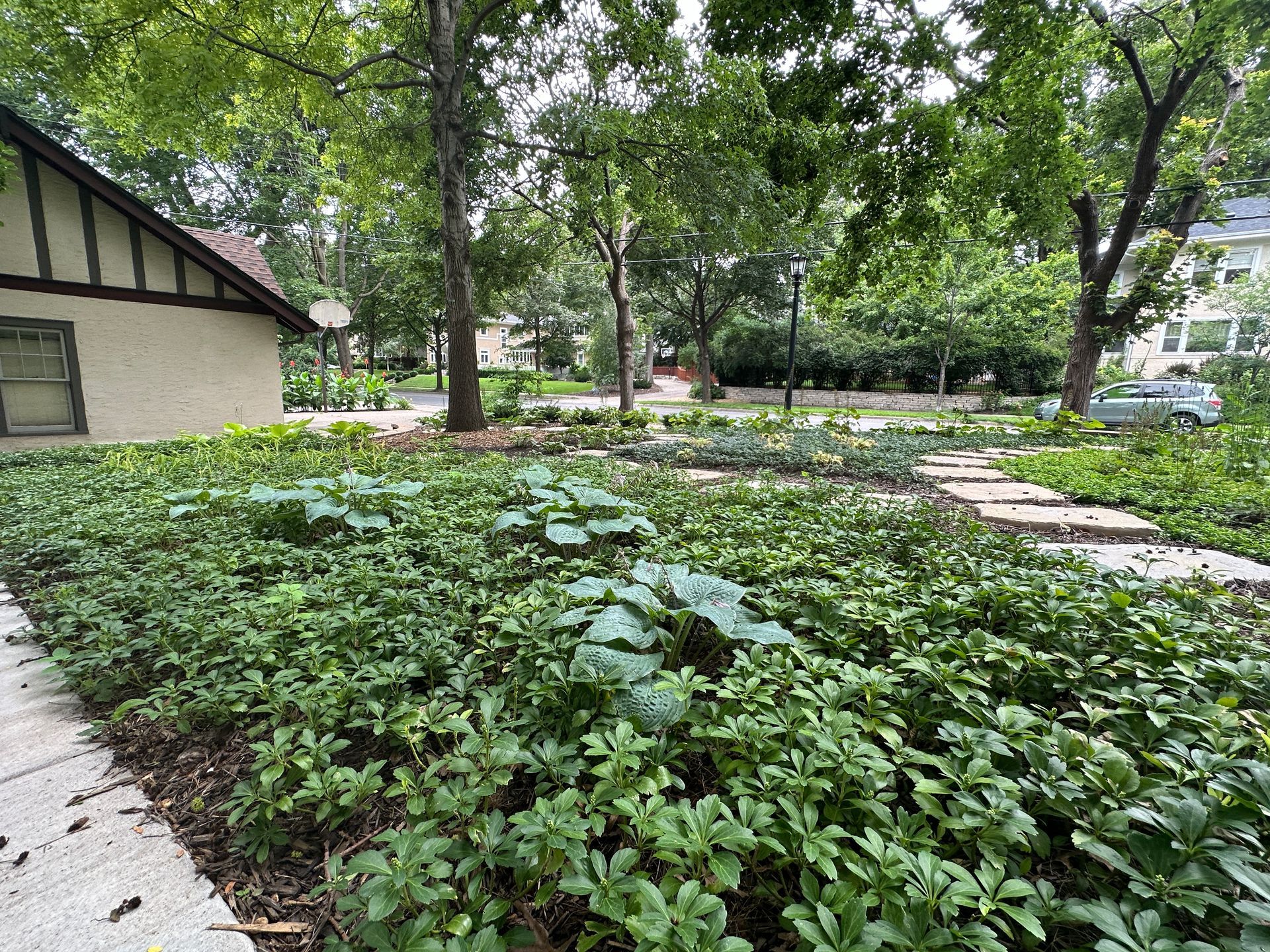 Backyard shade garden with ground cover plants replacing grass lawn in Minneapolis by KG Landscape