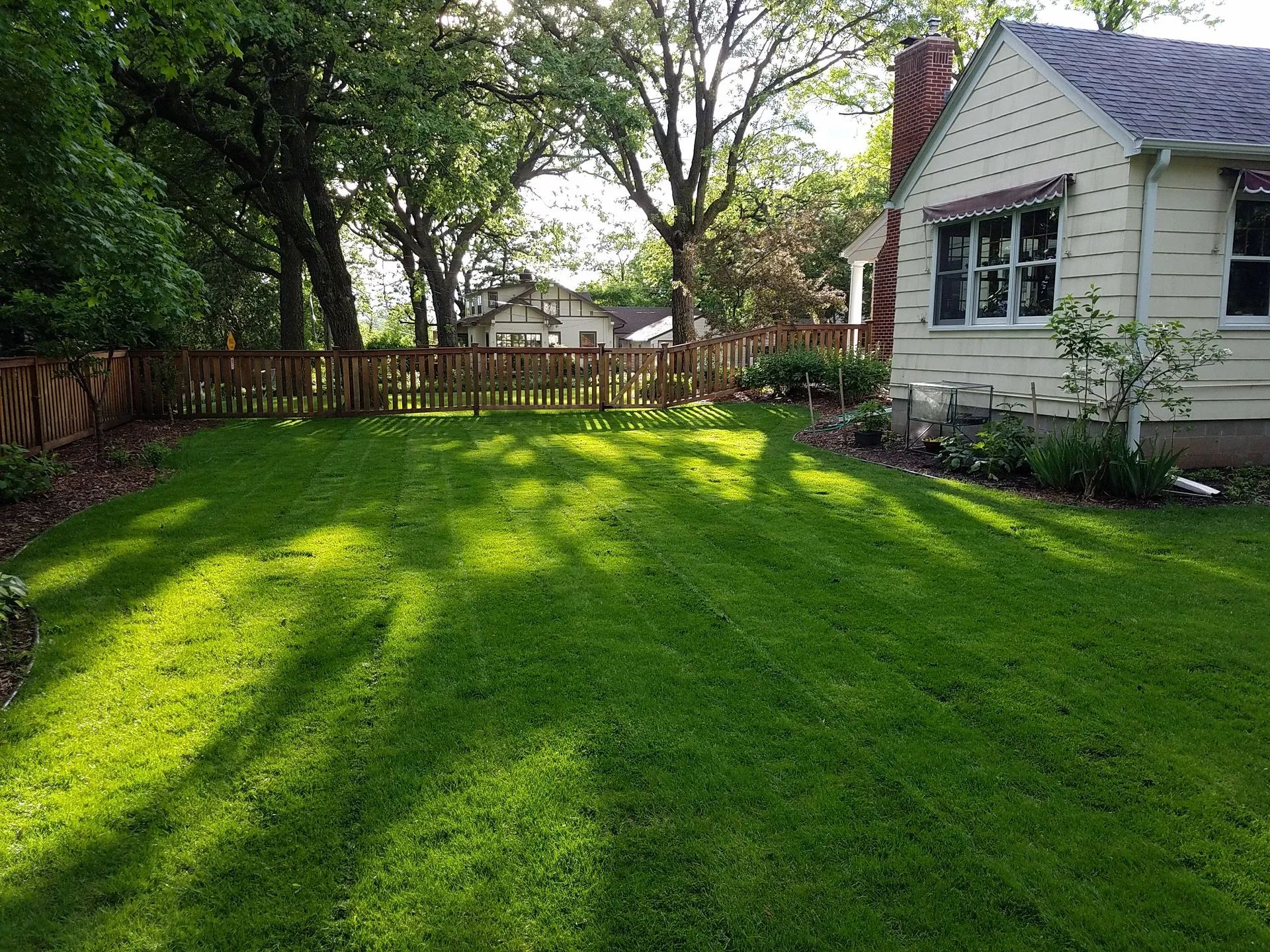 A sunny backyard with lush green grass, a wooden picket fence, large trees, and the side of a cream-colored house.