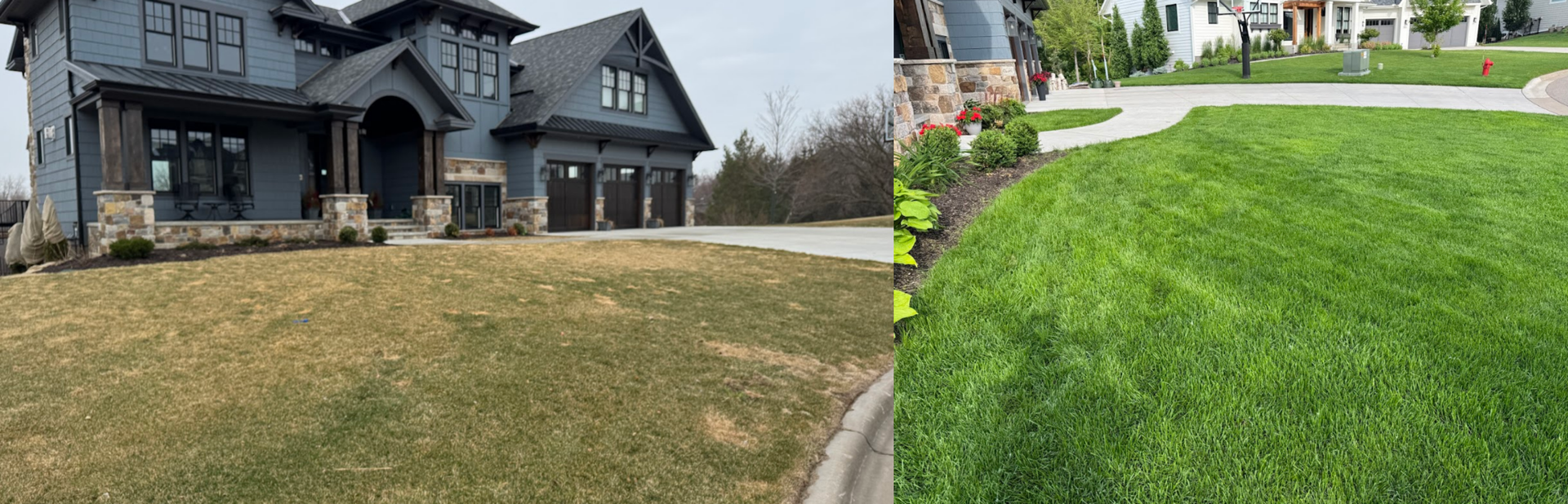 Before and after pic of top dressing. Mendota Heights. 