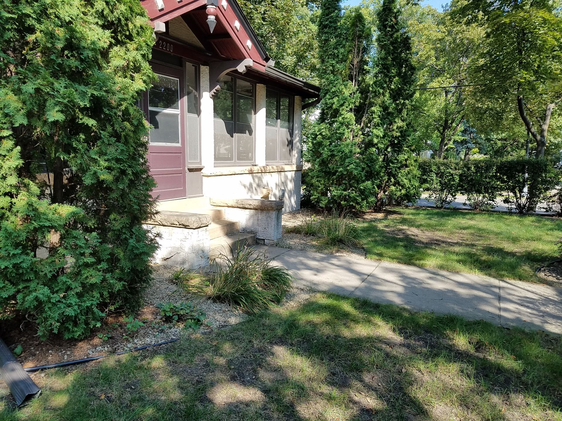 Before photo of thin tired lawn with overgrown shrubs and outdated landscaping in Minneapolis